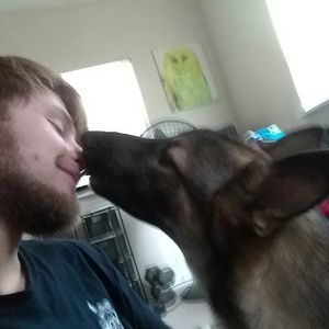 Meet your Posher, Dylan